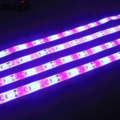 waterproof IP67 IP65 24V Red 660nm blue 450nm Flexible LED Grow Strip